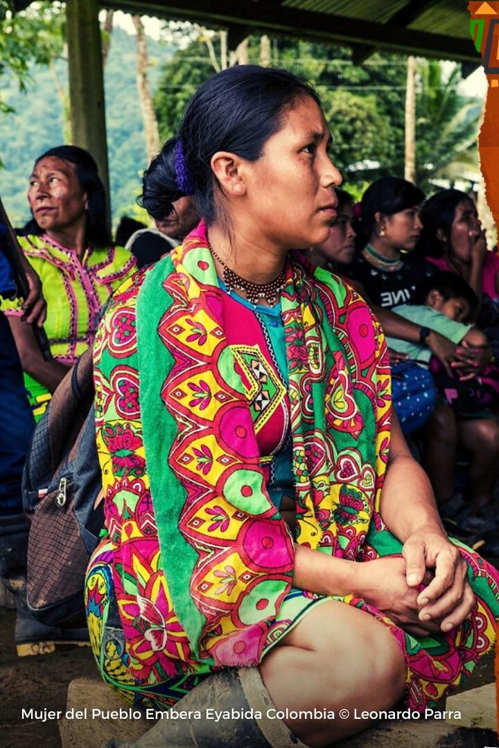 A woman of the Emberá Eyabida people in Colombia. Photo: Leonardo Parra.