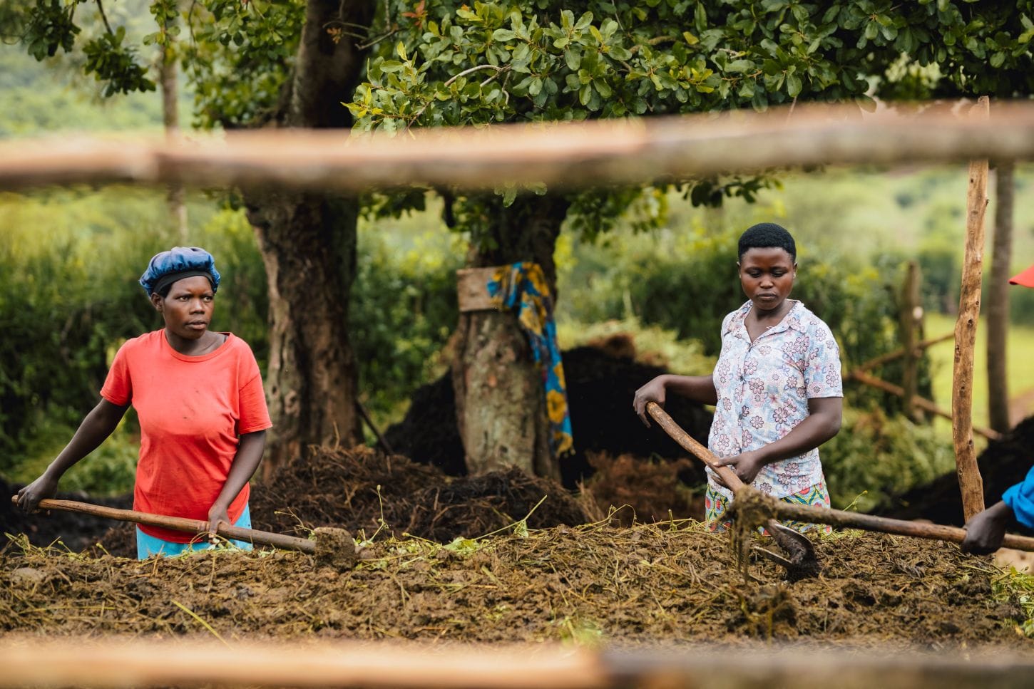 Farmers working together in Rwanda. Photo: WRI