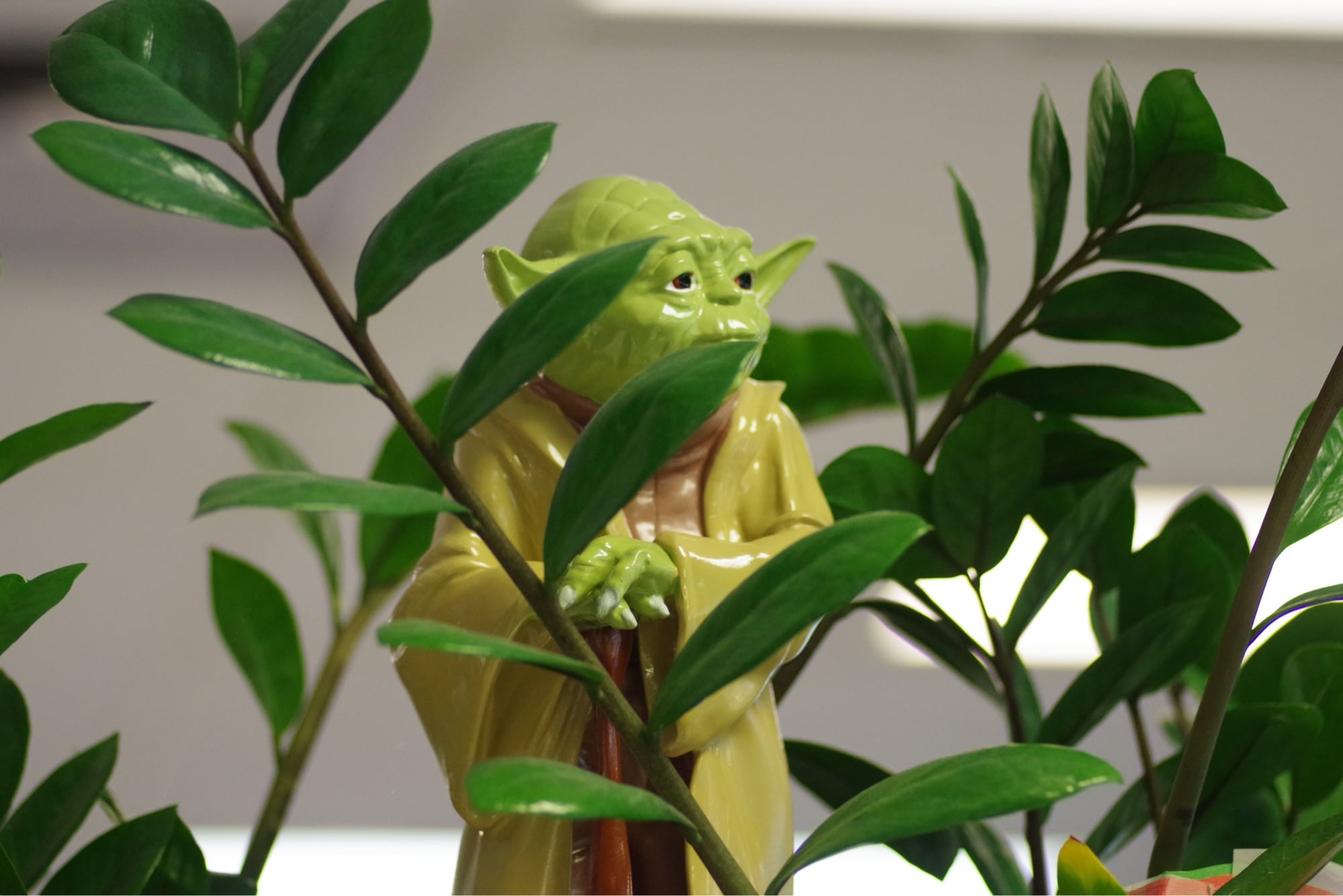 Photo of yoda implying sage advice - *Photo by Nadir sYzYgY on Unsplash*
