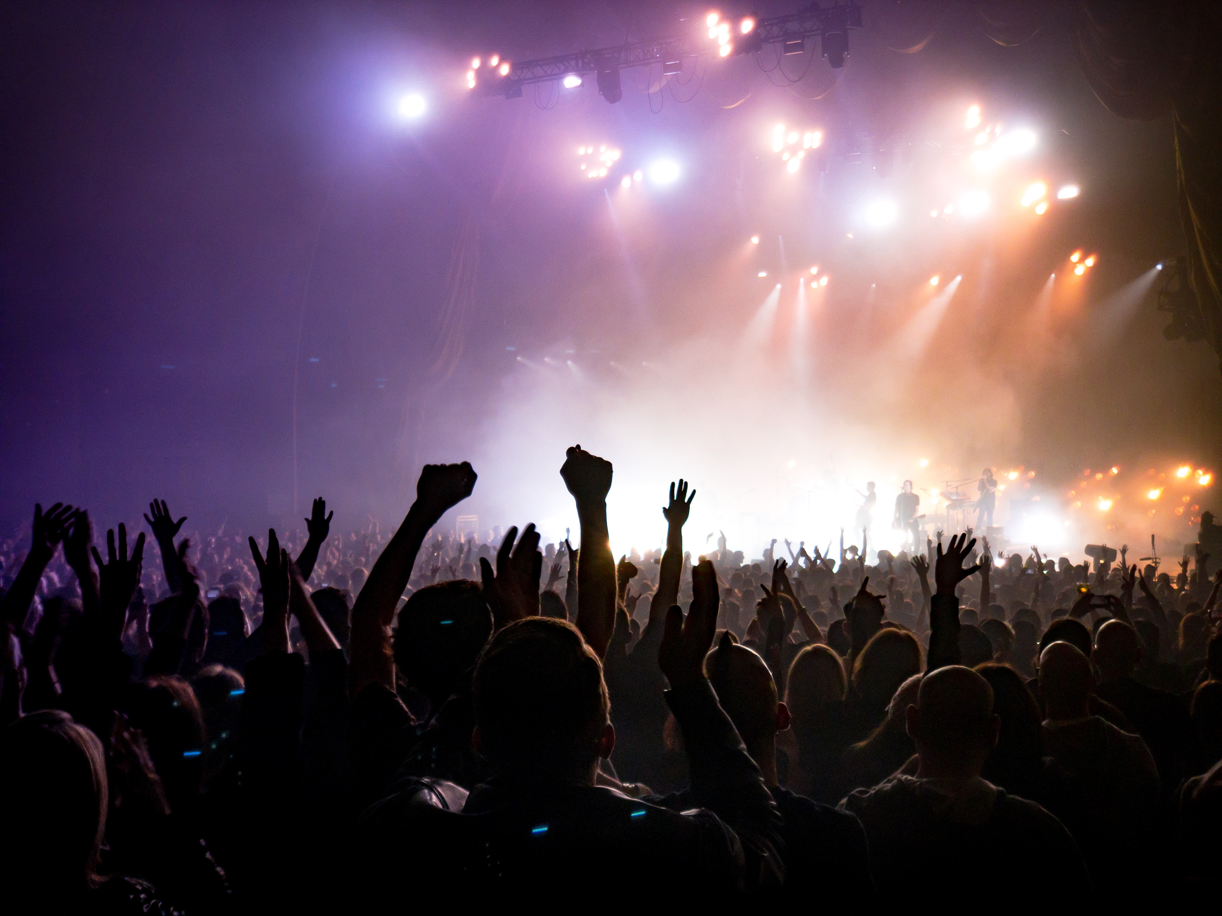 photo of audience raising hands at rock concert, Photo by ActionVance on Unsplash